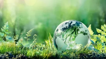 Glass globe resting on lush green grass and ferns, symbolizing Earth conservation.