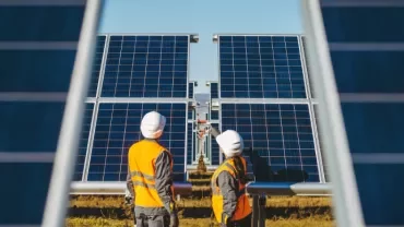 Two workers inspecting solar panels in a field on a sunny day.