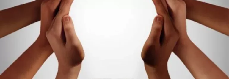 Multiple hands creating a shape around a small dish.