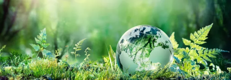 Glass globe resting on lush green grass and ferns, symbolizing Earth conservation.