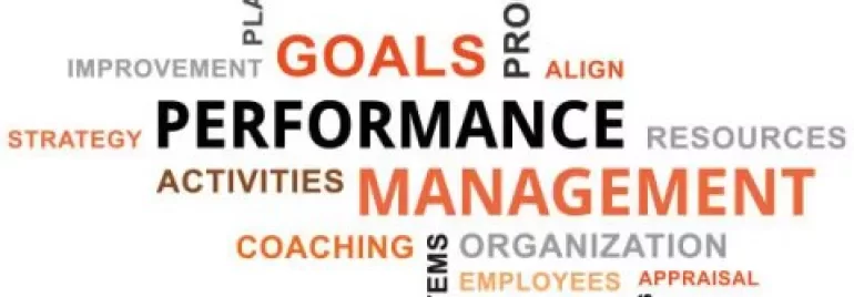 Word cloud with 'Management' and 'Performance' in bold.