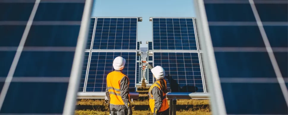 Two workers inspecting solar panels in a field on a sunny day.