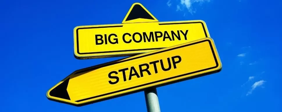 Yellow road signs indicating big company and startup directions.
