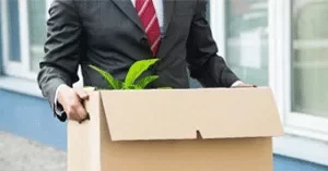Person in a suit carrying a box with a plant.