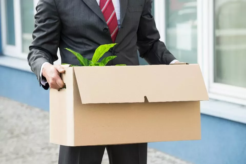 Man in suit carrying a box with a plant.